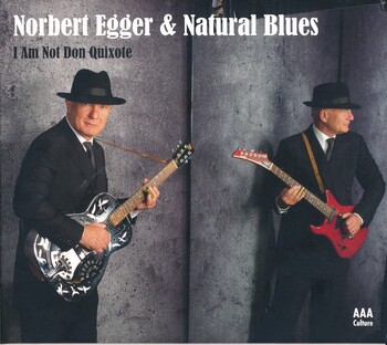 I Am Not Don Quixote