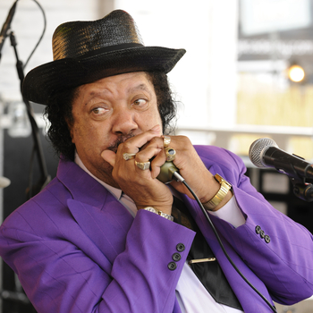 Boo Boo's Blues [Compilation]