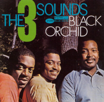 Black Orchid