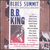 You Shook Me - B.B. King